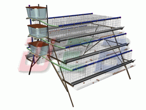 poultry layer chicken cage 